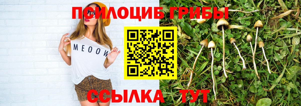 Псилоцибиновые грибы Cubensis Уссурийск