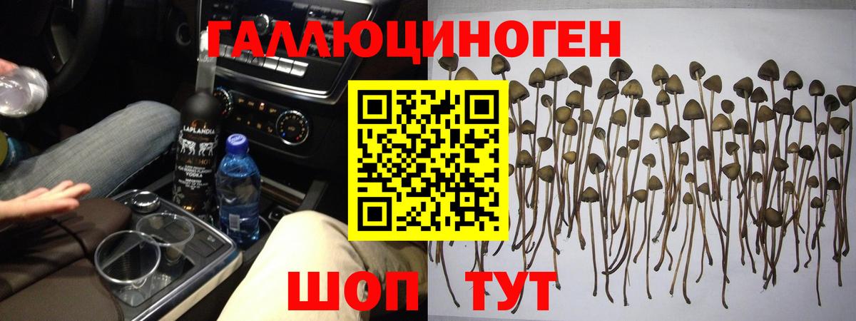 Уссурийск  купить наркоту  Вход с VPN  Псилоцибиновые грибы Psilocybine cubensis 